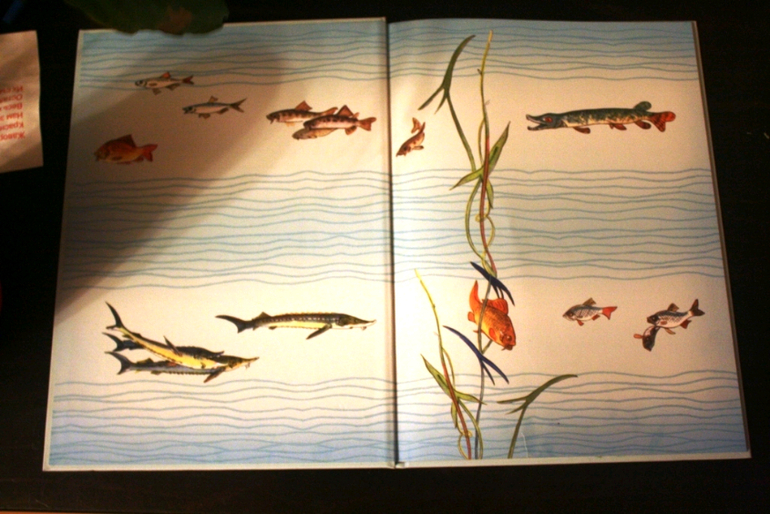 Приключение карпика