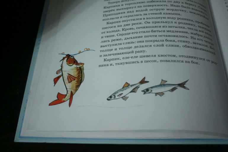 Приключение карпика