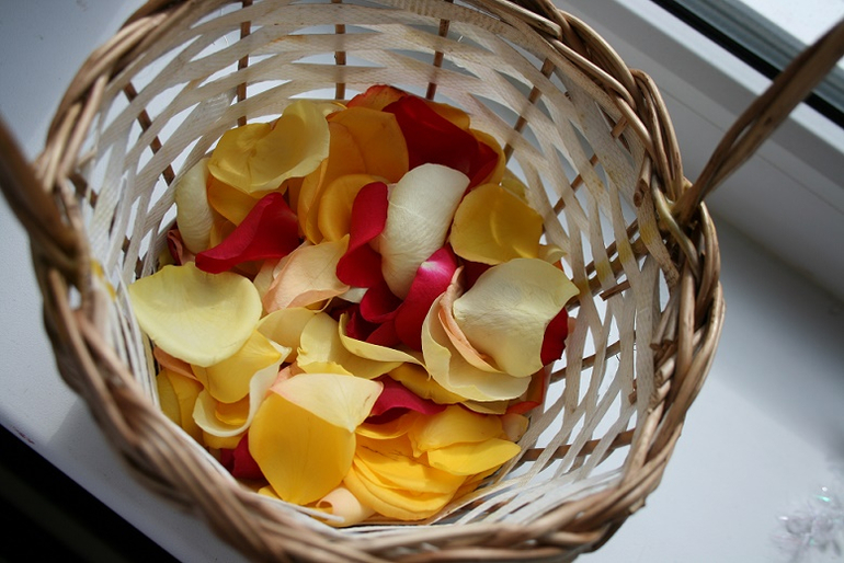 Природоведение.