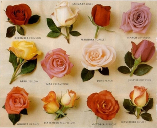 Природоведение.