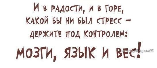 День 0. Отчет и подведение итогов