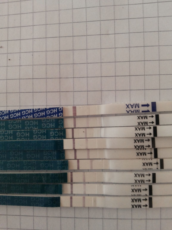 С ума схожу уже! Не знаю что делать дальше?(((