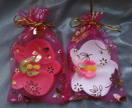 Нежная орхидея