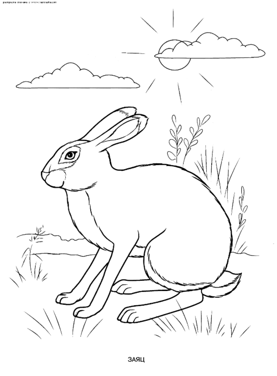 00f31688b3ac7a6288a590b8040ab1ae.gif