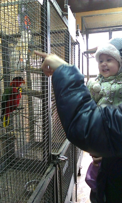 Калининград с ребенком 1,8