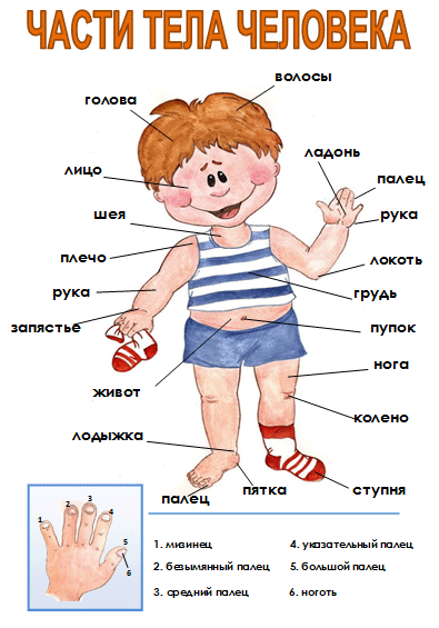 Тематическая неделя 
