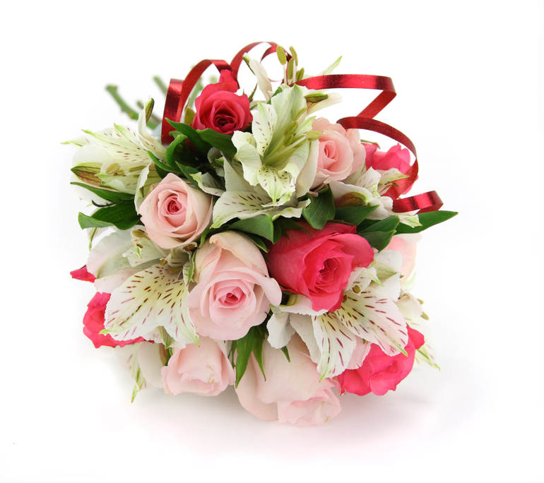 Приветствую вас в своем дневнике.