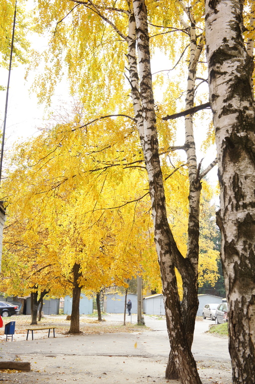 bc79f24aa6e1f93eabfbbe9f8d005067.jpg