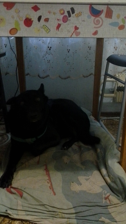 взлет 74, день 28