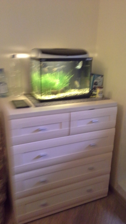 взлет 74, день 28