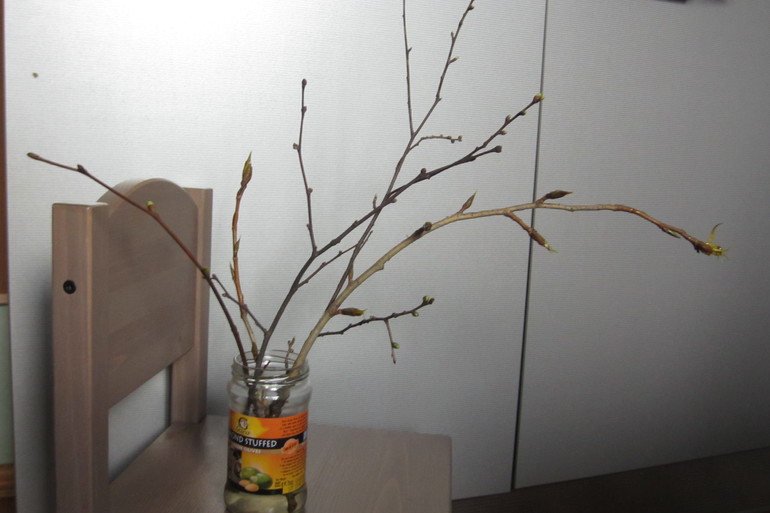 ТН Весенний переполох. День 2 (13 марта)