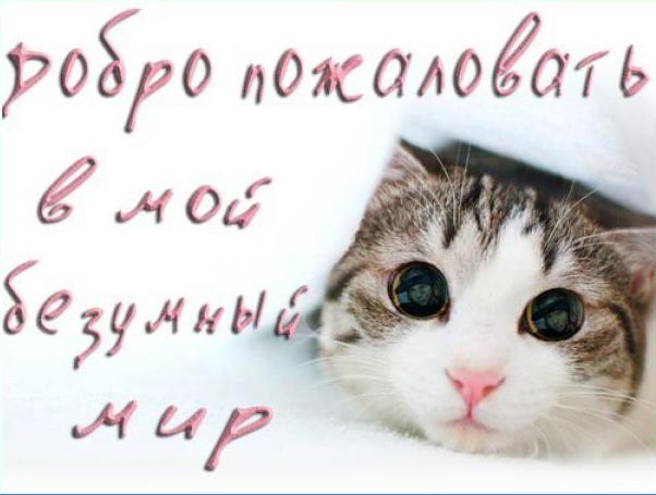 Новым друзьям