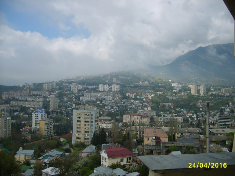 Никитинский ботанический сад.