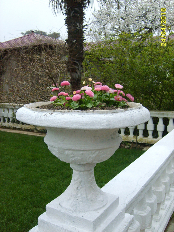 Никитинский ботанический сад.