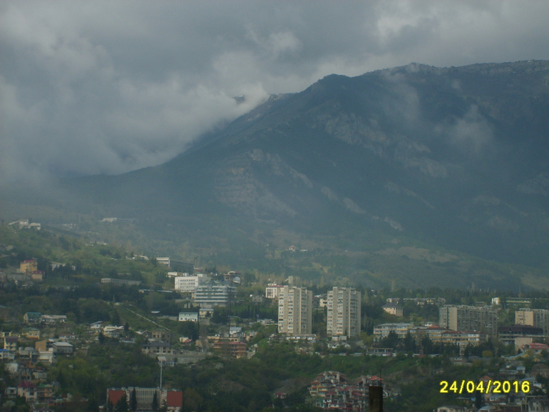 Никитинский ботанический сад.