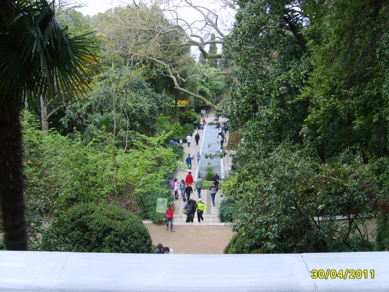 Никитинский ботанический сад.