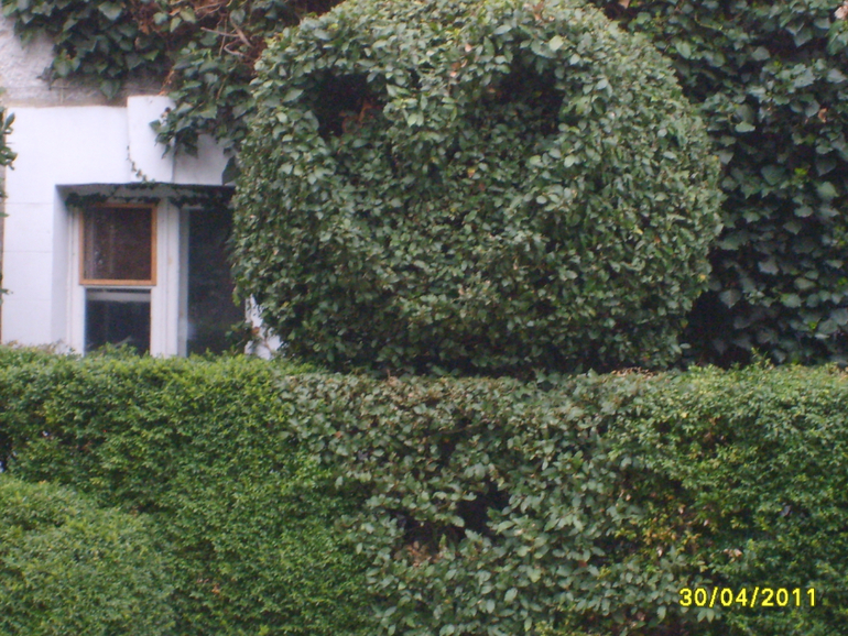 Никитинский ботанический сад.