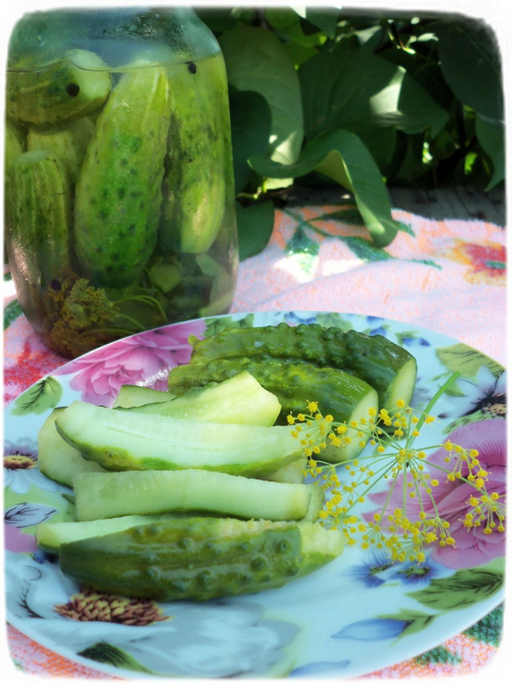 Огурцы малосольные