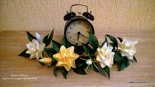 Небольшой фотоотчет о прошедшем курсе по Сахарной флористике