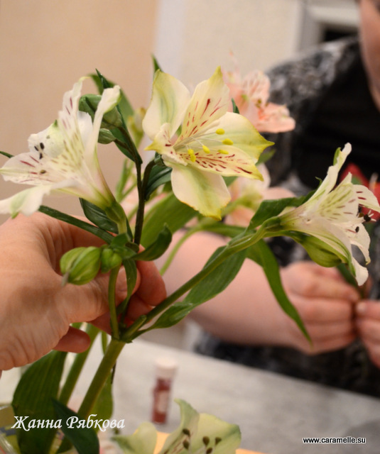 Фотоотчет с курсов по сахарным цветам в г. Уфа)))