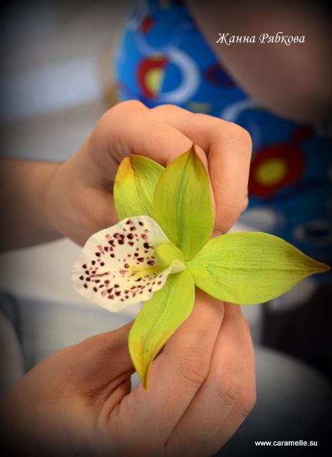 Фотоотчет с курсов по сахарным цветам в г. Уфа)))