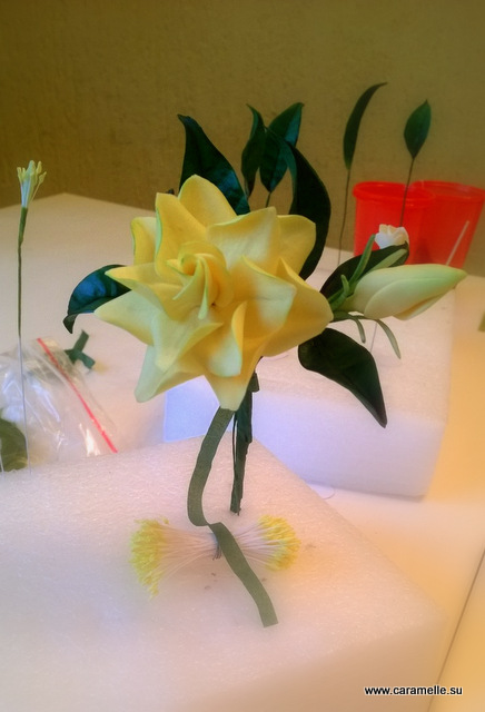 Небольшой фотоотчет о прошедшем курсе по Сахарной флористике