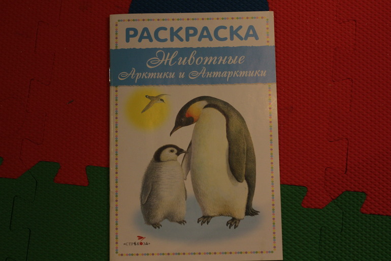 Хвастики)) Книжные магазины