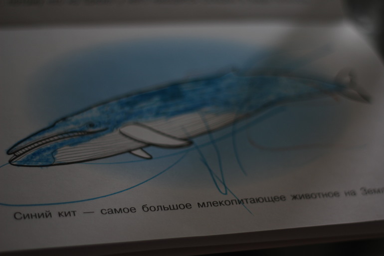 День 2 