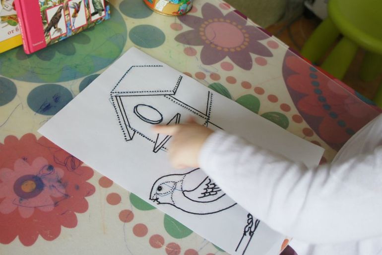 День 4. Здравствуйте птицы!