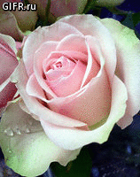 477cd30d111191d23361bb090f796508.gif