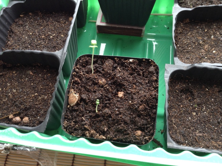 Насмотрелась