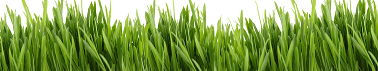 Опять я со своей кухней.