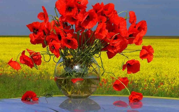 Символ Победы