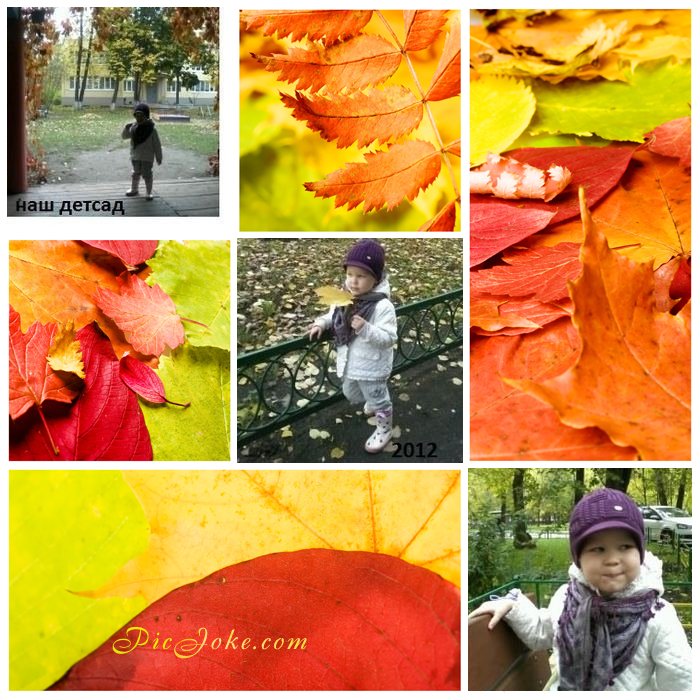 Осень 2012