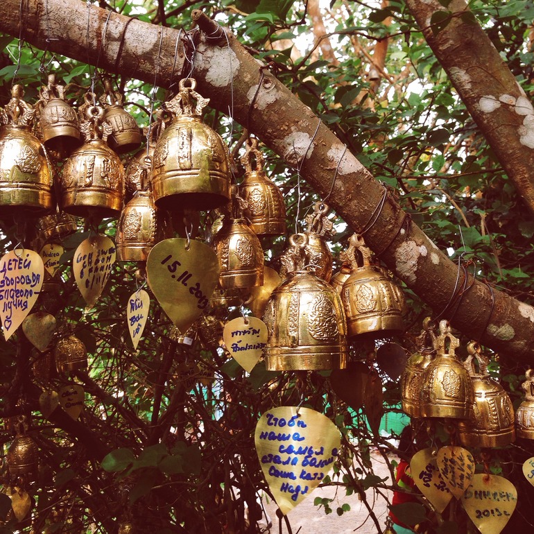 наша поездка в телефонной версии)