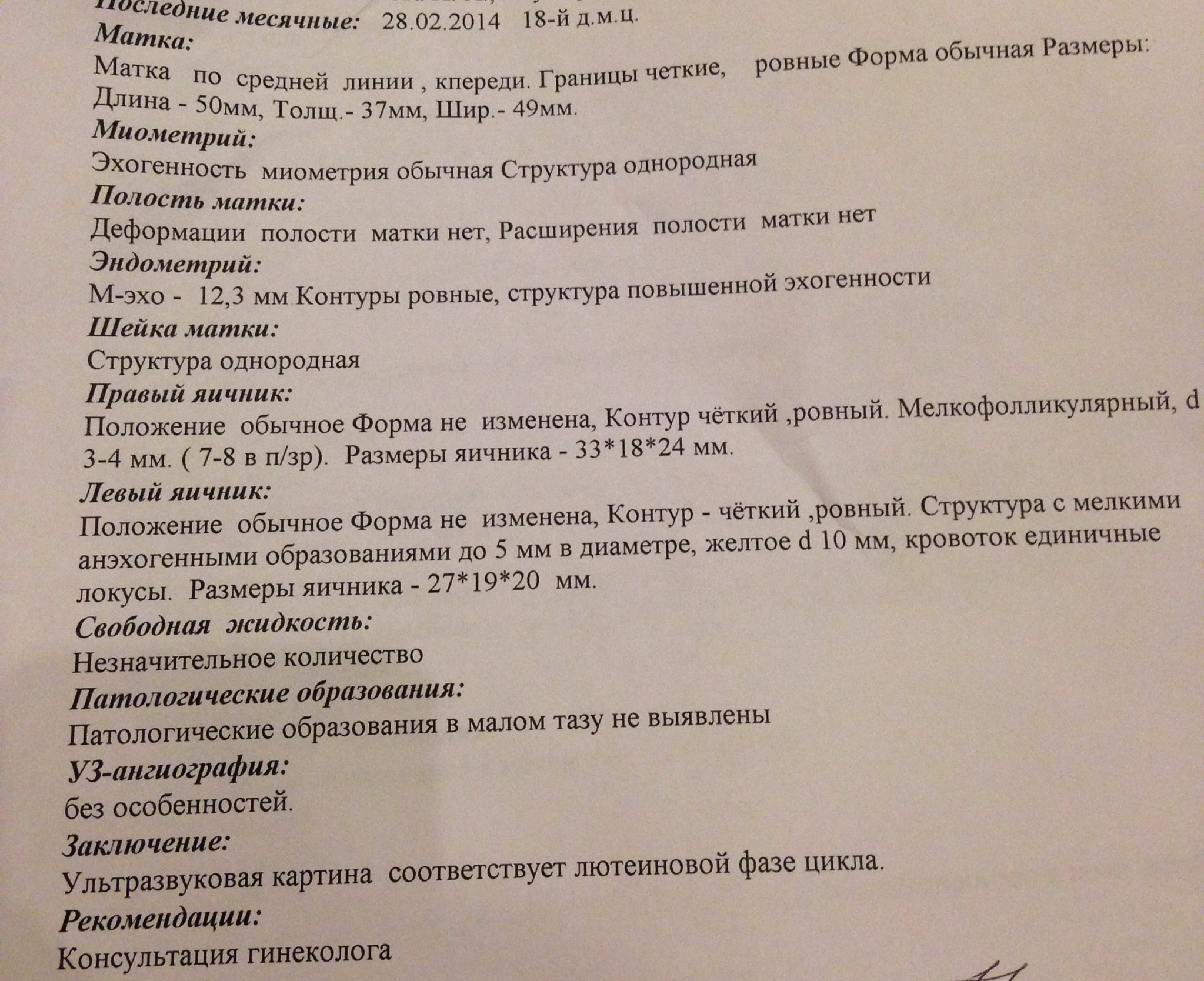 желтое тело