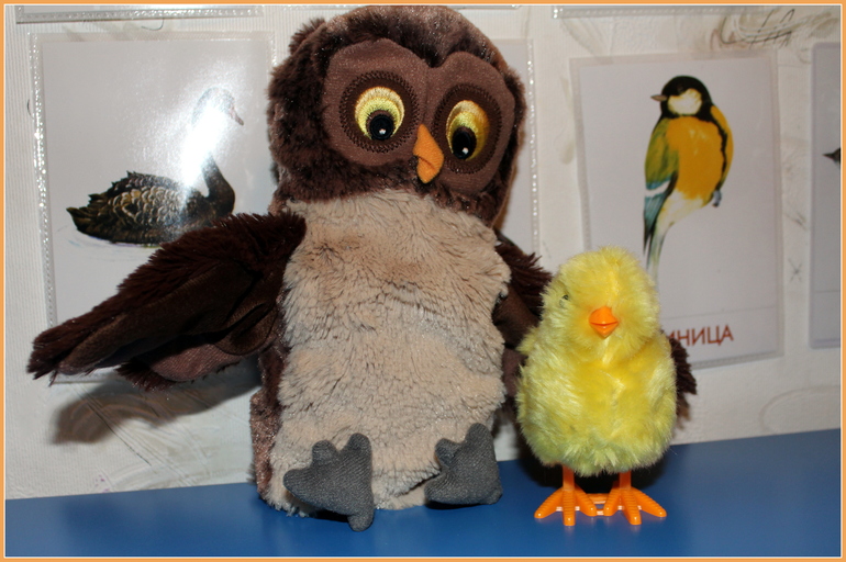 Наша птичья неделя