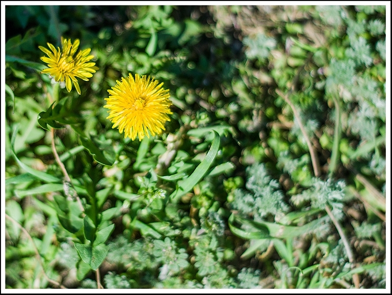 Останній день березня..