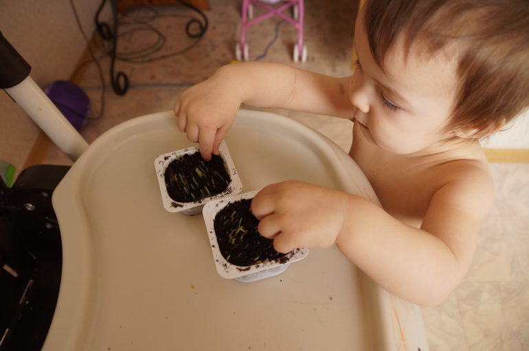 ТН Весна. День первый.