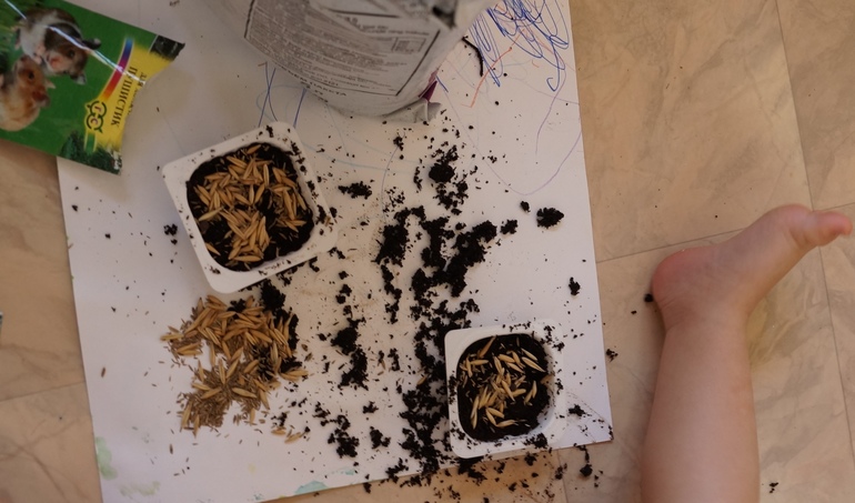 ТН Весна. День первый.