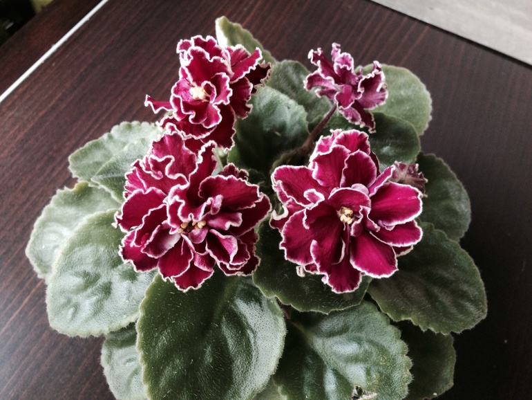 Еще немного красоты!))