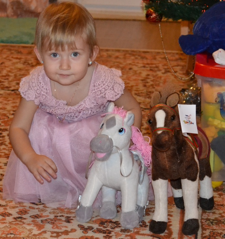 Новый год 2013-14