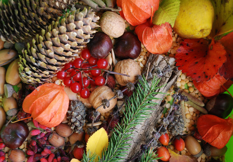 В продолжении ТН