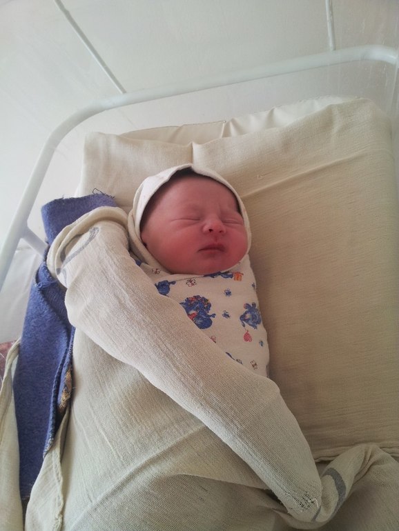 Хронология нашего первого года