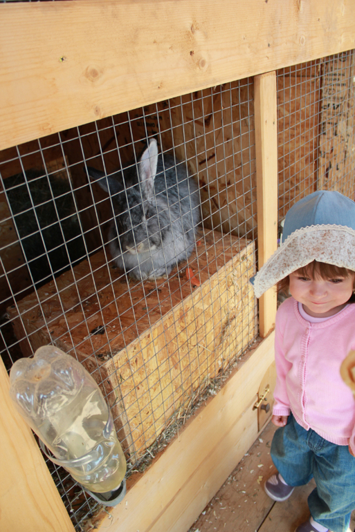 Наше первомайское_Конный парк РУСЬ