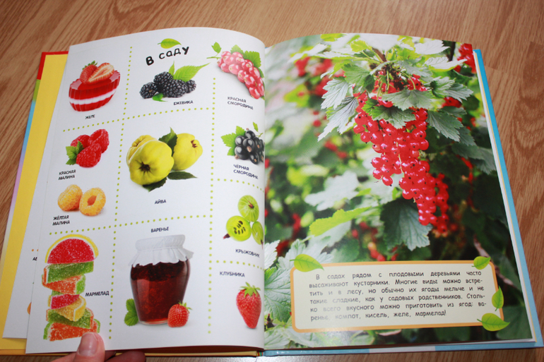 Мир в картинках