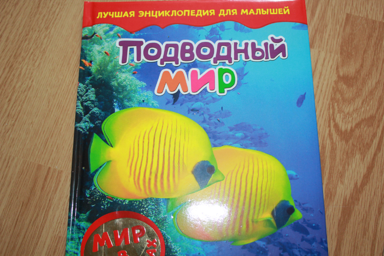 Мир в картинках
