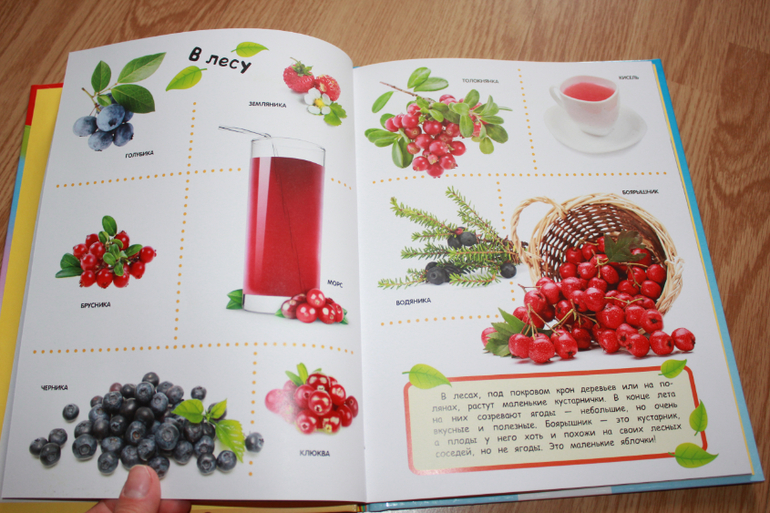 Мир в картинках