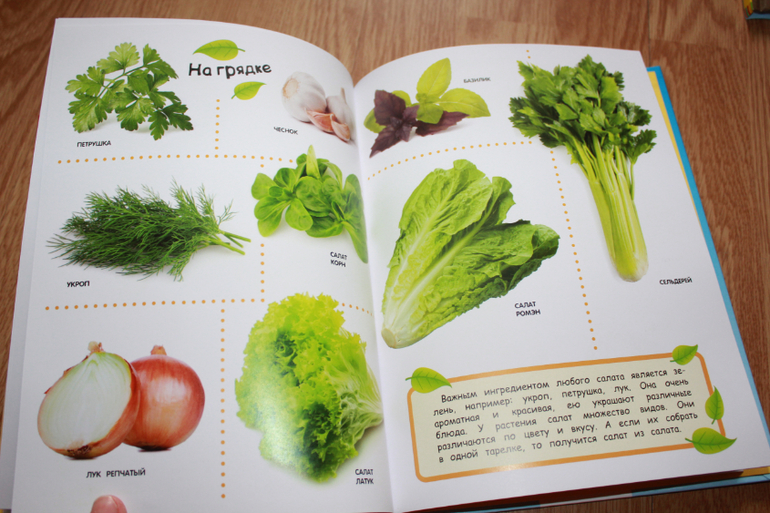 Мир в картинках