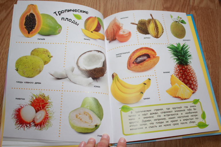 Мир в картинках